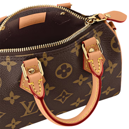 Sac Mini Speedy Monogram